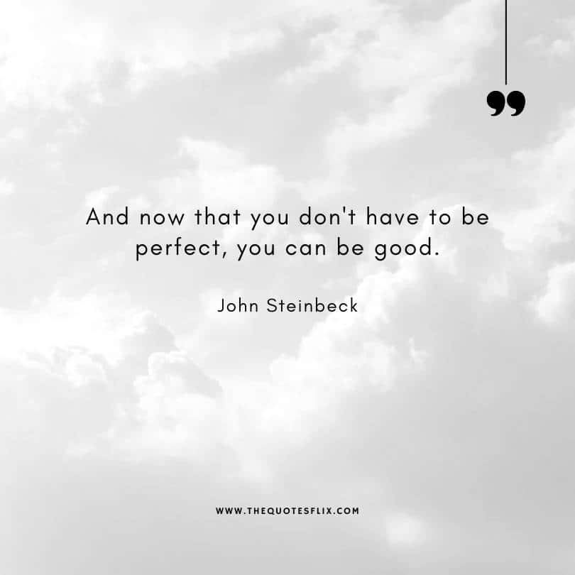 famous authors quotes - dont have to be perfect you can be good